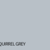 D11 RAL 7000 Squirrel Grey