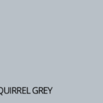 D11 RAL 7000 Squirrel Grey