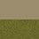 Beige - grün